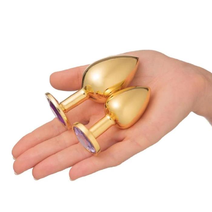 Erox Anal Play Starter Gold Kit Medium Metal Anal Plug ve Temizlik Seti