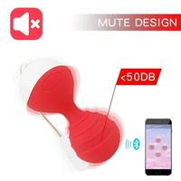 Sexual World Monie Telefon Kontrollü Titreşimli Kegel Egzersiz Topu