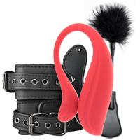 Svakom Limited Edition BDSM Gift Box Unlimted Pleasure