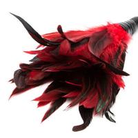 Erox Fetish Fantasy Series Feather Orgasm Gıdıklayıcı Tüy Kırmızı